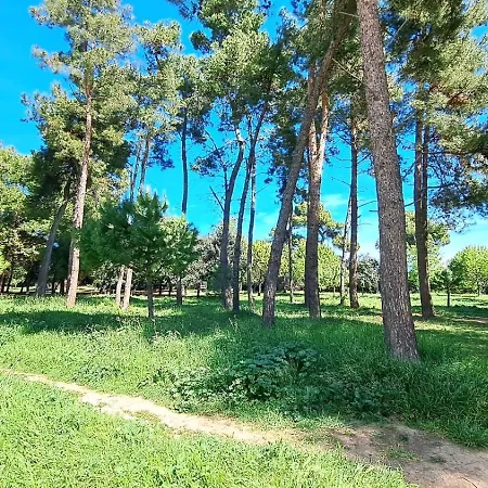 דירה Pineta Al Mare Montesilvano Marina