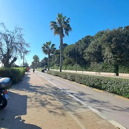 Pineta Al Mare Apartment Montesilvano