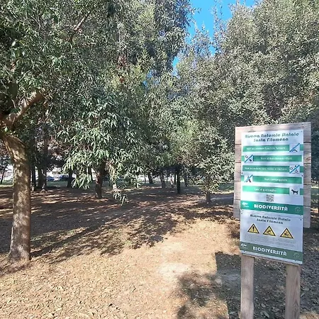 Pineta Al Mare Montesilvano Marina