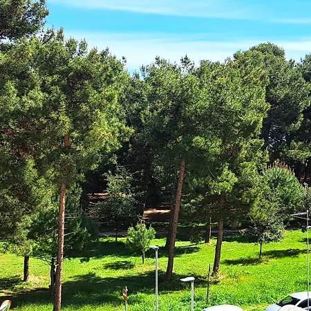 Lejlighed Pineta Al Mare